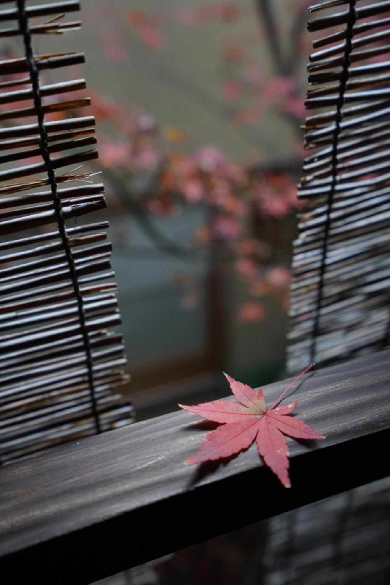 Ryokan Tori Kyōto Exterior foto