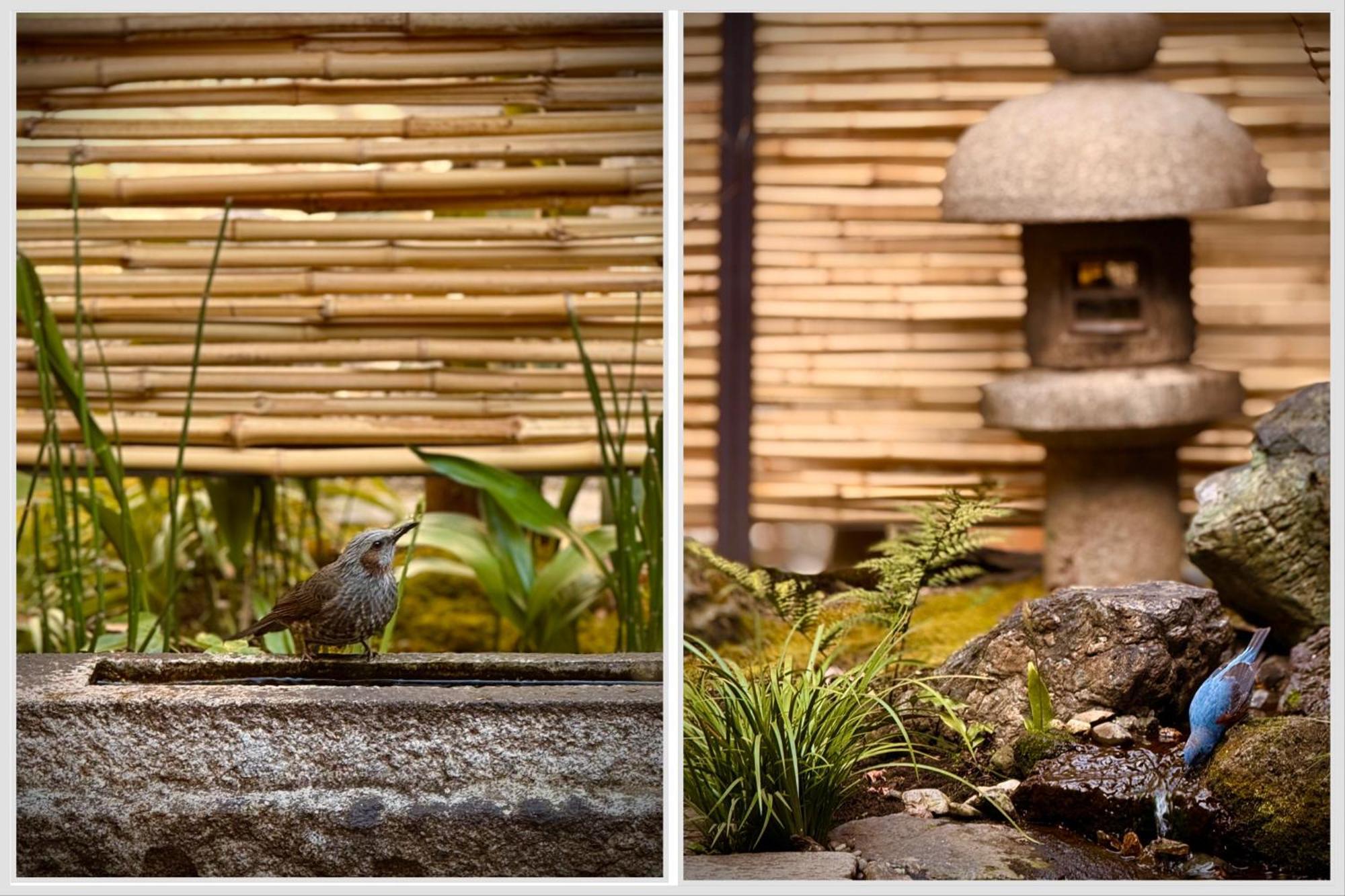 Ryokan Tori Kyōto Zimmer foto